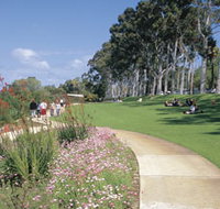 Kings Park Free Guided Walks - Accommodation QLD
