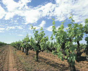 Karridale WA Accommodation QLD