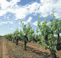 Blackwood Meadery - Accommodation QLD