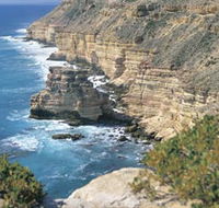 Island Rock and Natural Bridge - Accommodation QLD