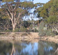 Merredin Railway Dam - Accommodation QLD