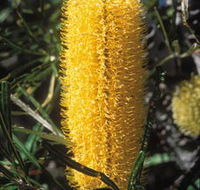 Moore River National Park - Accommodation QLD