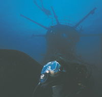 Swan Dive Wreck - Accommodation QLD