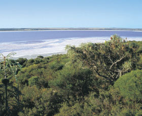 Pink Lake - Accommodation QLD 0