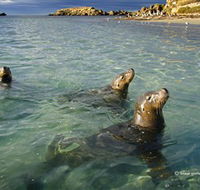 Shoalwater Islands Marine Park - Accommodation QLD
