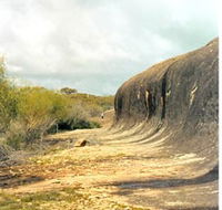 Totadgin Dam Reserve - Accommodation QLD