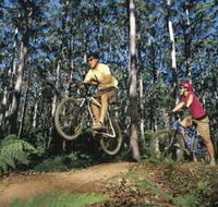 Leeuwin-Naturaliste National Park - Cowaramup - Accommodation QLD