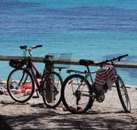 Parker Point Marine Snorkel Trail - Accommodation QLD