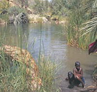 Palm Springs - Accommodation QLD