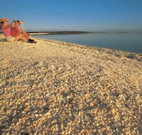 Shell Beach - Accommodation QLD