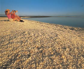 Shell Beach - Accommodation QLD 0