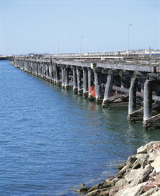 Old Timber Jetty - Accommodation QLD 0