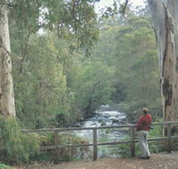 Cascades - Accommodation QLD