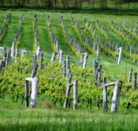 Sienna Estate Winery - Accommodation QLD