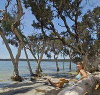 Stokes National Park - Accommodation QLD