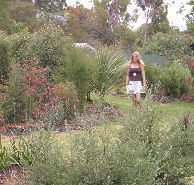 The Mythic Mazes - Accommodation QLD
