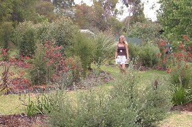 The Mythic Mazes - Accommodation QLD 0