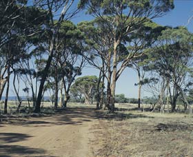 Lake Dumbleyung - Accommodation QLD 0
