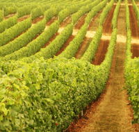 MadFish Wines Denmark - Accommodation QLD