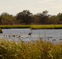 Anytime Adventures in Mandurah  the Peel Region - Accommodation QLD