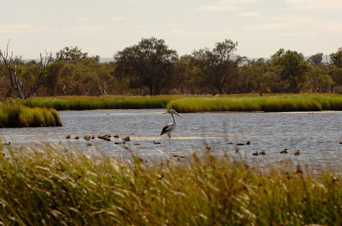 Anytime Adventures In Mandurah & The Peel Region - Accommodation QLD 0