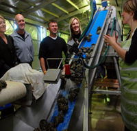 Eyre Peninsula's Seafood Trail - Accommodation QLD