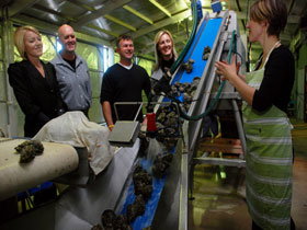 Eyre Peninsula's Seafood Trail - Accommodation QLD 0