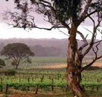 Yangarra Estate Vineyard - Accommodation QLD