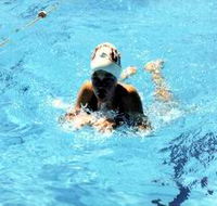 Mount Gambier Aquatic Centre - Accommodation QLD