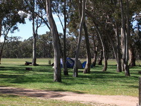 Naracoorte SA Accommodation QLD