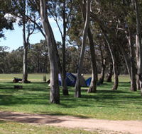 Black Cockatoo Bush Camp - Accommodation QLD