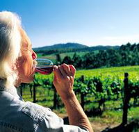 Ashton Hills Vineyard - Accommodation QLD