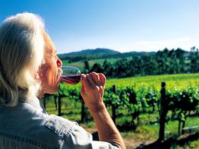 Ashton Hills Vineyard - Accommodation QLD 0