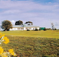 Lucindale Country Club - Accommodation QLD