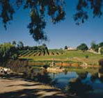 Mount Hurtle Winery home of Geoff Merrill Wines - Accommodation QLD