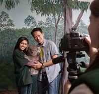 Cleland Wildlife Park - Accommodation QLD