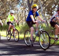 Penola Cycling Trails - Accommodation QLD