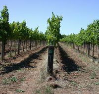 Temple Bruer Winery - Accommodation QLD
