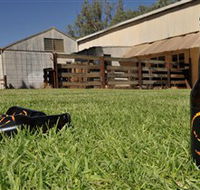 Wilkadene Woolshed Brewery - Accommodation QLD
