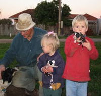 Orrie Cowie Merino and Poll Merino Stud - Accommodation QLD