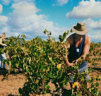 Torbreck Vintners - Accommodation QLD