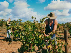 Torbreck Vintners - Accommodation QLD 0