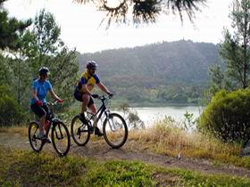 Mount Gambier Crater Lakes Mountain Bike Trail - Accommodation QLD 0