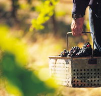 Burge Family Winemakers - Accommodation QLD