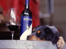Koonara Wines - Accommodation QLD 0