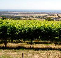 Braydun Hill Vineyard - Accommodation QLD