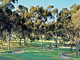 Tanunda Pines Golf Club - Accommodation QLD 0