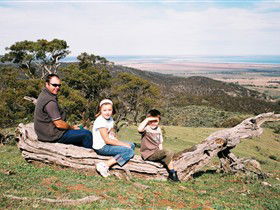 Bridle Track - Accommodation QLD 0