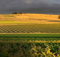 Kellermeister Wines - Accommodation QLD
