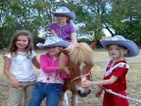Amberainbow Pony Rides - Accommodation QLD 0